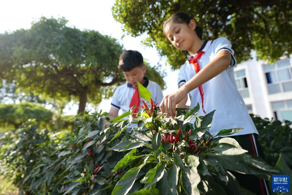 太阳成娱乐网站